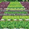 Green Revolution The Wonders of Organic Farming in India