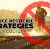 Reduce Pesticide Strategies in Agriculture