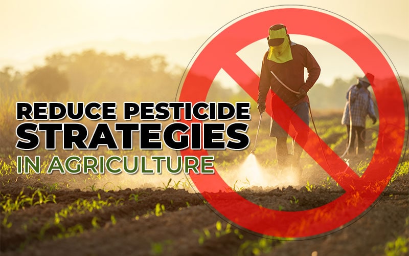 Reduce Pesticide Strategies in Agriculture