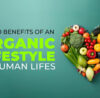 Top 10 Benefits Of An Organic Lifestyle In Human Lifes