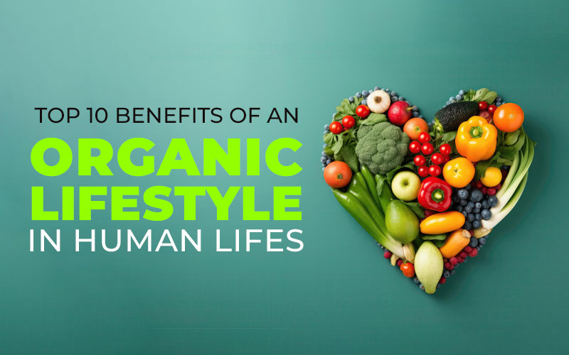 Top 10 Benefits Of An Organic Lifestyle In Human Lifes