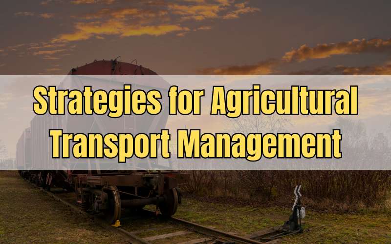 Strategies for Agricultural Transport Management