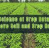 The Science of Crop Rotation Improve Soil and Crop Health