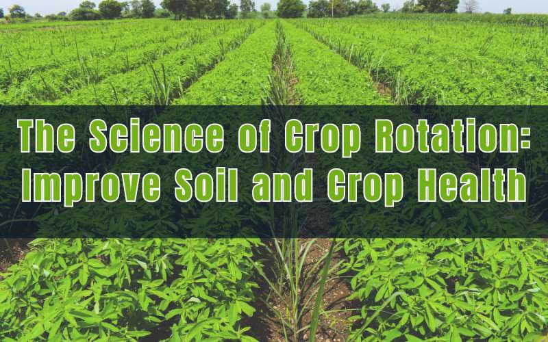 The Science of Crop Rotation Improve Soil and Crop Health