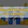 Business Growth Strategies for Expansion by Prince Khanuja