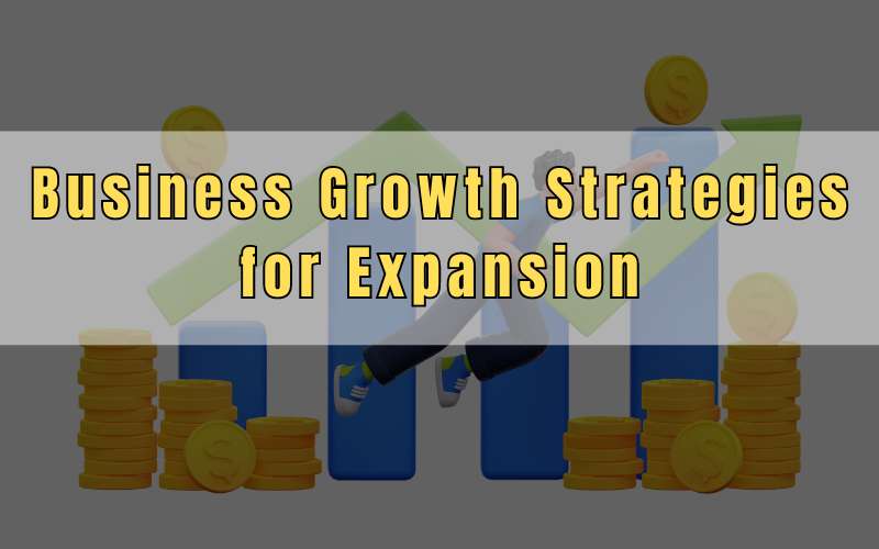 Business Growth Strategies for Expansion by Prince Khanuja