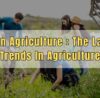 Urban Agriculture The Latest Trends In Agriculture