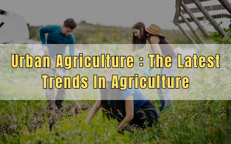 Urban Agriculture The Latest Trends In Agriculture