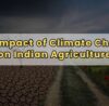 The Impact of Climate Change on Indian Agriculture