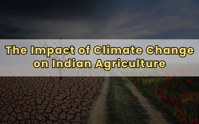 The Impact of Climate Change on Indian Agriculture