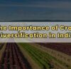 The Importance of Crop Diversification in India